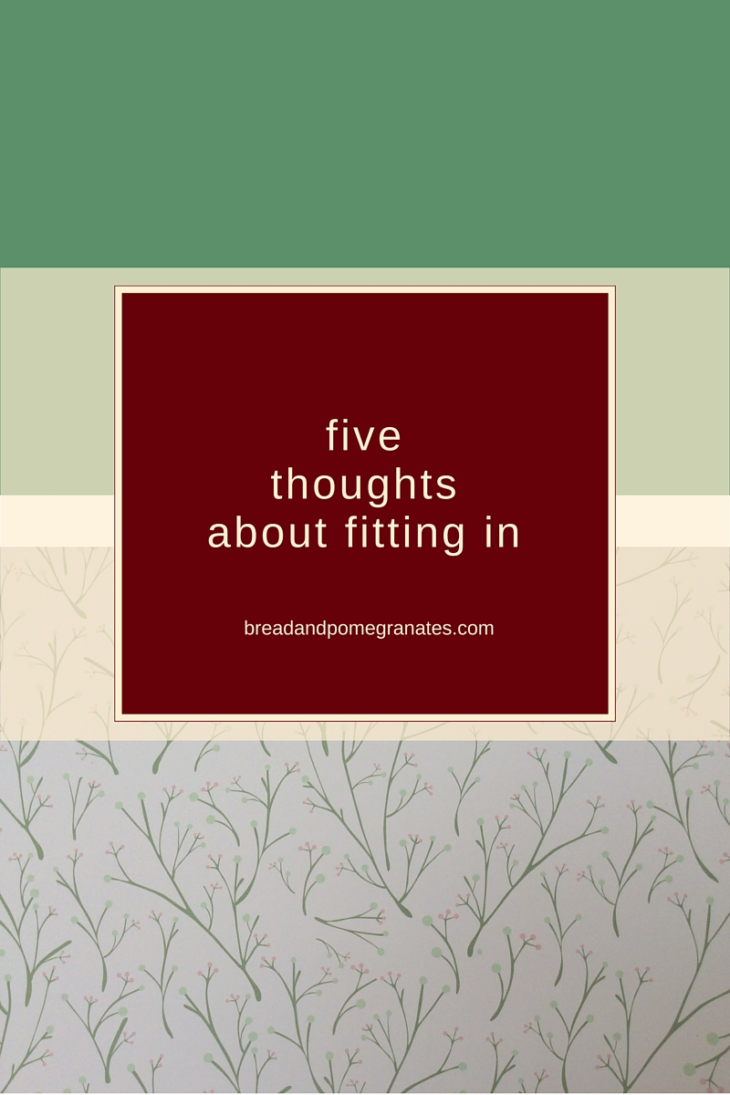 5thoughtsaboutfittingin